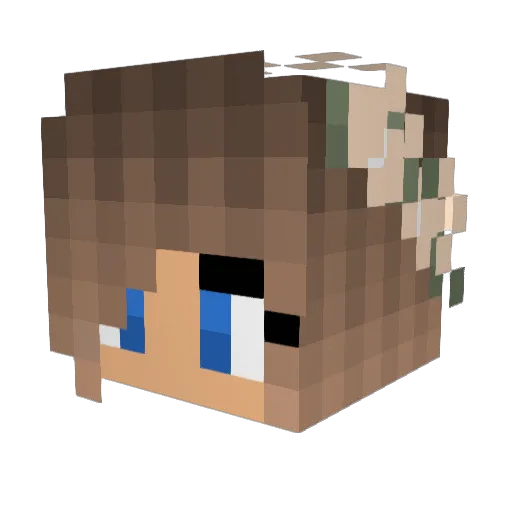 __Graceful__ Minecraft avatar head, 3D render