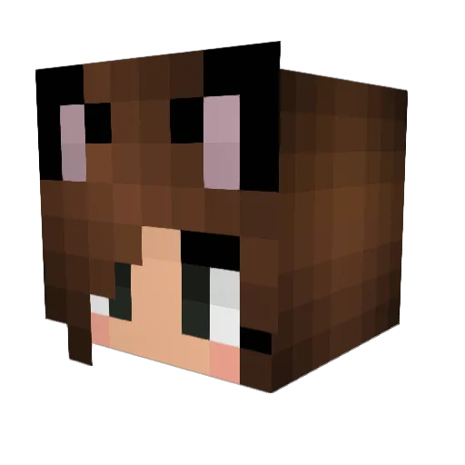 __HaVeN__ Minecraft avatar head, 3D render