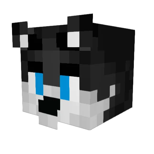 __Huskeyy Minecraft avatar head, 3D render