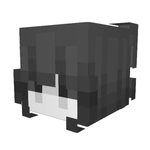 __HypickleLover Minecraft avatar head, 3D render