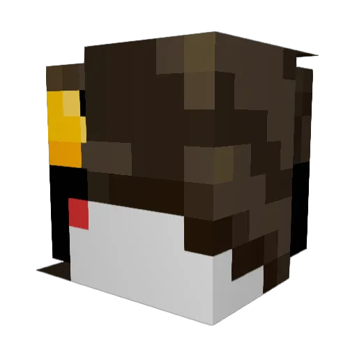 __ICE Minecraft avatar head, 3D render