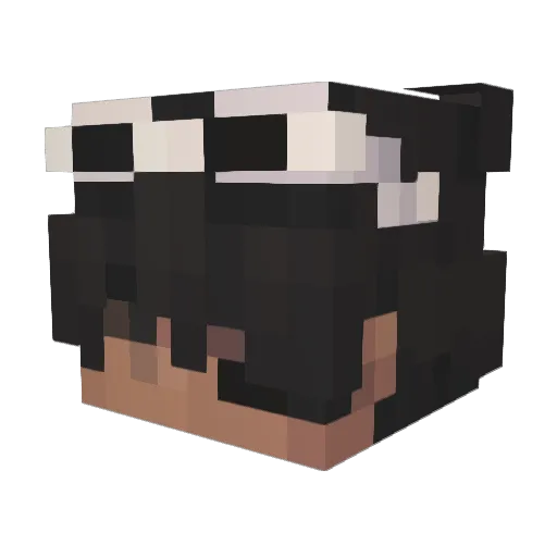 __Ish__ Minecraft avatar head, 3D render