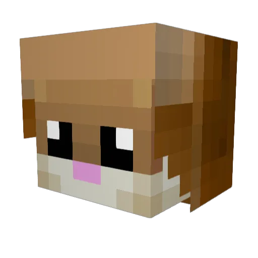 __J3LT3_ Minecraft avatar head, 3D render