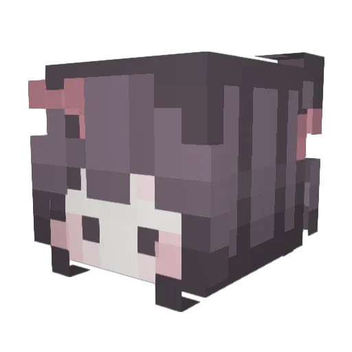 __JINNIE__ Minecraft avatar head, 3D render