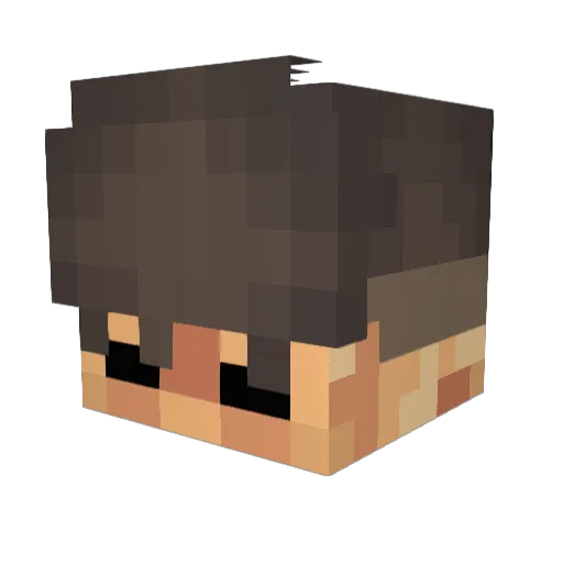 __Jani Minecraft avatar head, 3D render