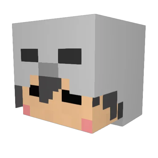 __KYO__ Minecraft avatar head, 3D render