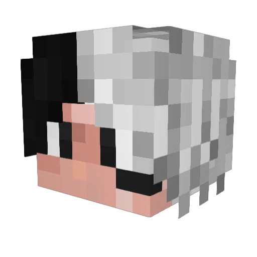 __KaIseD__ Minecraft avatar head, 3D render