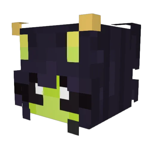 __Kiwii Minecraft avatar head, 3D render