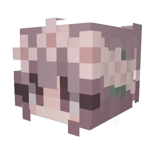 __Kociara__ Minecraft avatar head, 3D render