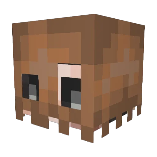 __KorteS__ Minecraft avatar head, 3D render