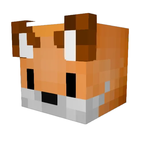 __LeFox__ Minecraft avatar head, 3D render