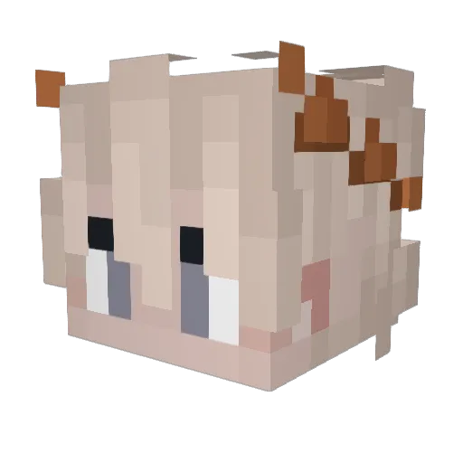 __Lobinho__ Minecraft avatar head, 3D render