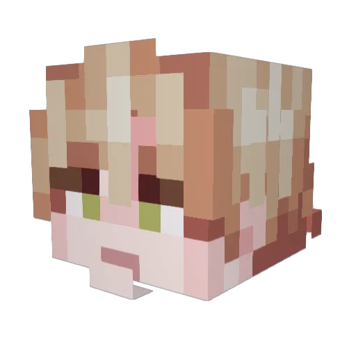 __M00ny__ Minecraft avatar head, 3D render