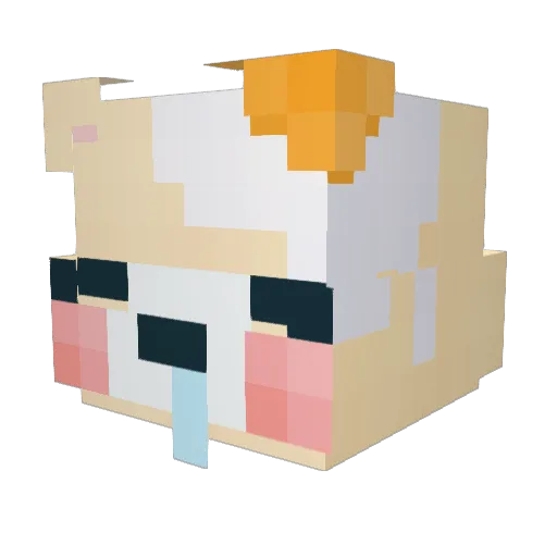 __Man__du__ Minecraft avatar head, 3D render