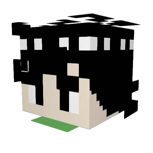 __Mannschaft__ Minecraft avatar head, 3D render