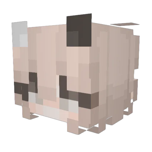 __Mary27__ Minecraft avatar head, 3D render