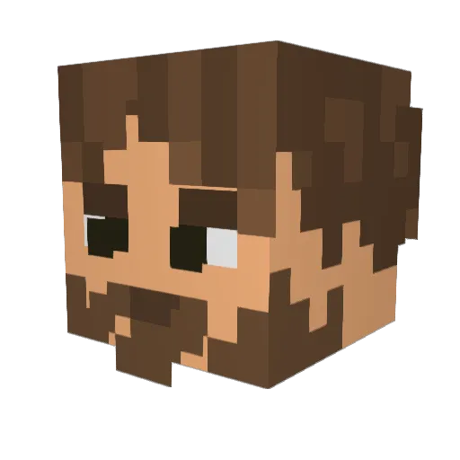 __McGee__ Minecraft avatar head, 3D render