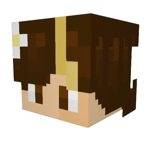 __Melons_ Minecraft avatar head, 3D render