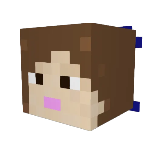 __Meow_Meow__ Minecraft avatar head, 3D render