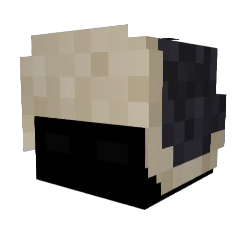 __Mp4 Minecraft avatar head, 3D render