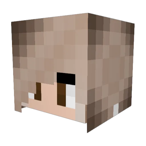 __Munchi__ Minecraft avatar head, 3D render