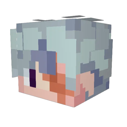 __Nele Minecraft avatar head, 3D render