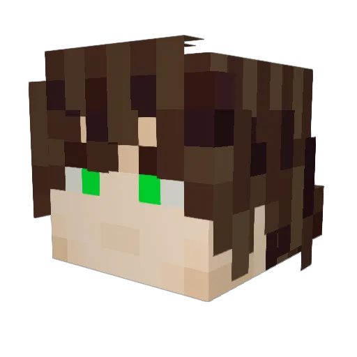 __Nelo__ Minecraft avatar head, 3D render