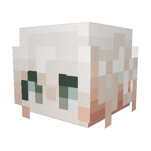 __Noell__ Minecraft avatar head, 3D render