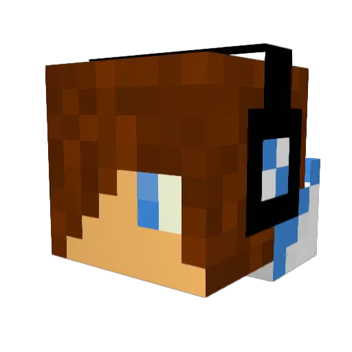 __Nolan Minecraft avatar head, 3D render