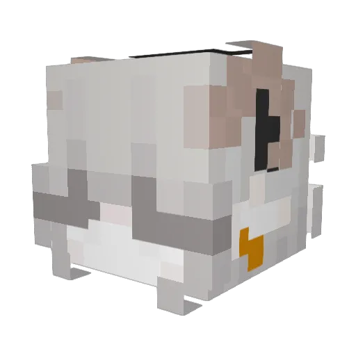__Phen__ Minecraft avatar head, 3D render