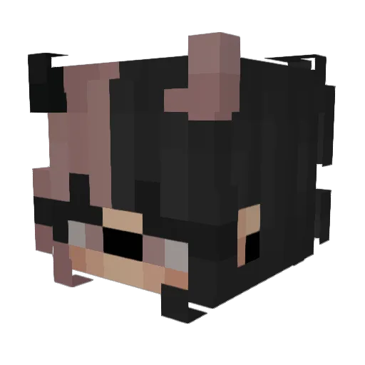__Piti Minecraft avatar head, 3D render