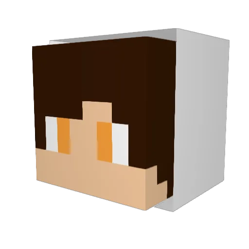__Pox__ Minecraft avatar head, 3D render