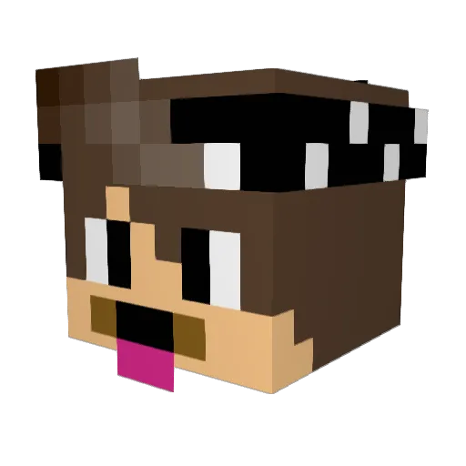 __ProMLG__ Minecraft avatar head, 3D render