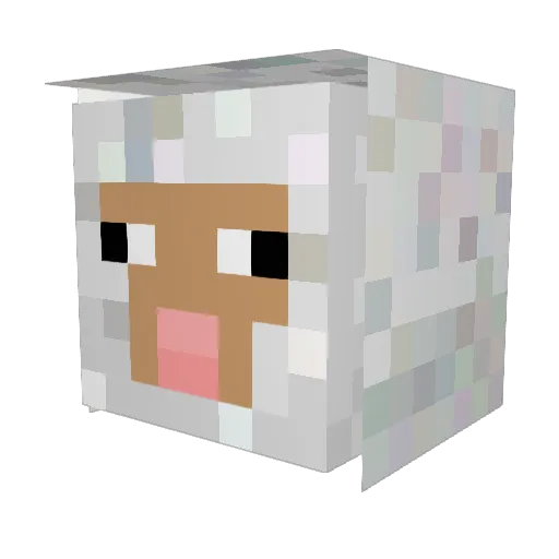 __RAD__ Minecraft avatar head, 3D render