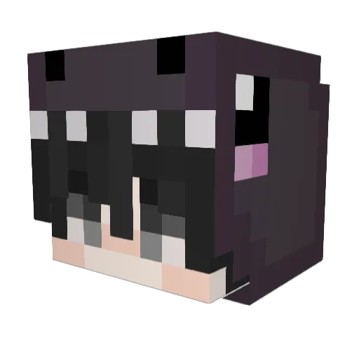 __REBAER__ Minecraft avatar head, 3D render