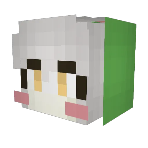 __Raccoon Minecraft avatar head, 3D render