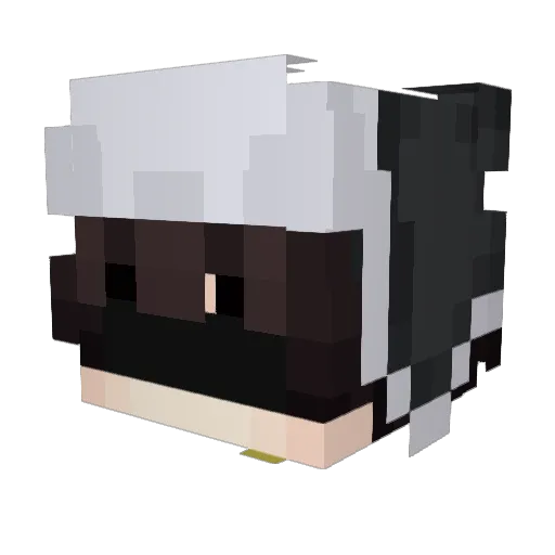 __RivoX__ Minecraft avatar head, 3D render