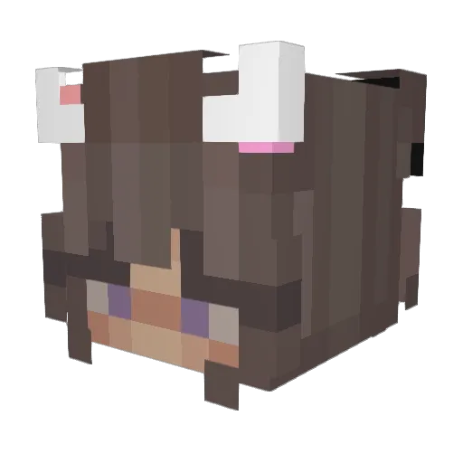 __Rusti__ Minecraft avatar head, 3D render