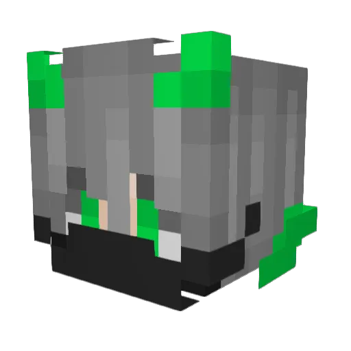 __SalgamSuyu__ Minecraft avatar head, 3D render