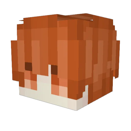 __ShoeMong__ Minecraft avatar head, 3D render