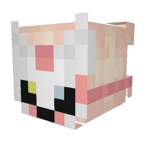 __Sol_ Minecraft avatar head, 3D render