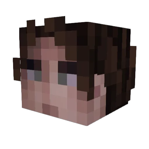 __Stal27 Minecraft avatar head, 3D render
