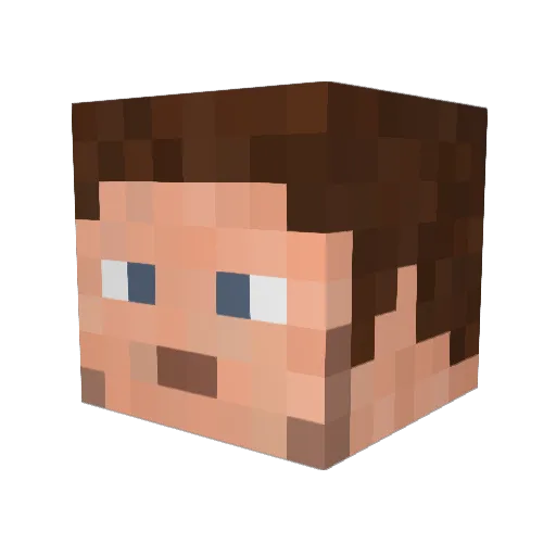 __Supra Minecraft avatar head, 3D render