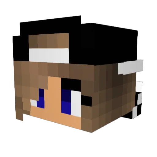 __SwagGirl__ Minecraft avatar head, 3D render