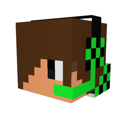 __TONE__ Minecraft avatar head, 3D render