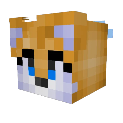 __Tails__ Minecraft avatar head, 3D render