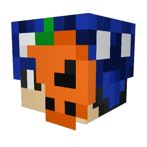 __Tako Minecraft avatar head, 3D render