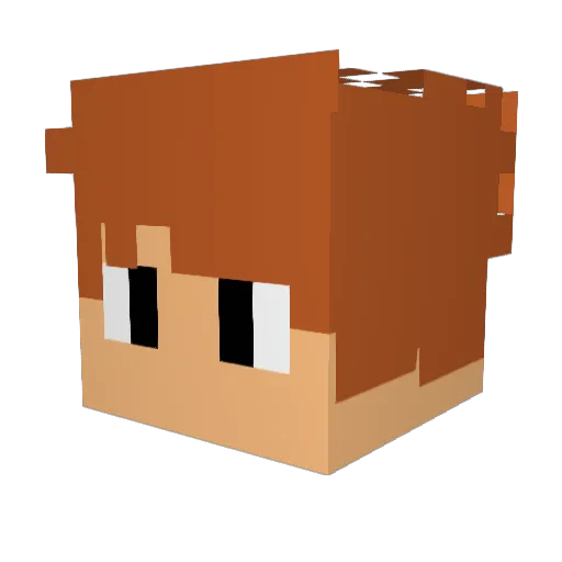 __The__Law__ Minecraft avatar head, 3D render