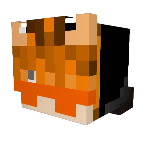 __TilkiYT__ Minecraft avatar head, 3D render