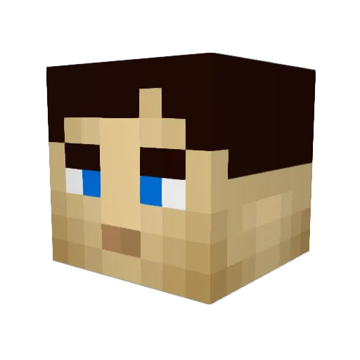 __TimeLord__ Minecraft avatar head, 3D render